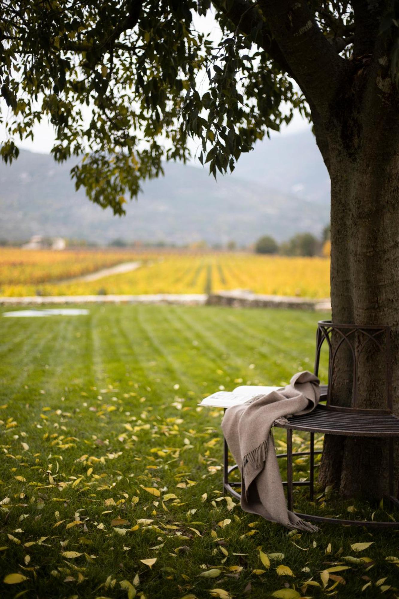 San Calisto Camere Con Vigna Popoli Buitenkant foto